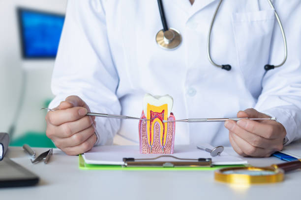 Best Orthodontic Emergency Dentist in Sellersville, PA